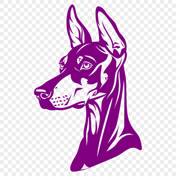 Illustration of a Doberman Pinscher's head, suitable for vector art designs.