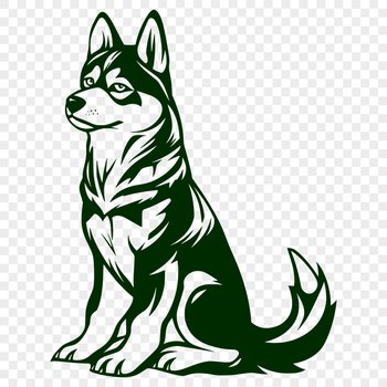 Stunning Sitting Husky Digital Art