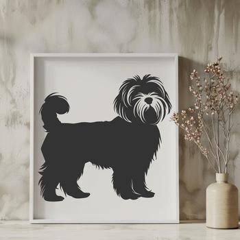 A small to medium-sized dog with a silky coat and friendly expression, shown in full body pose.