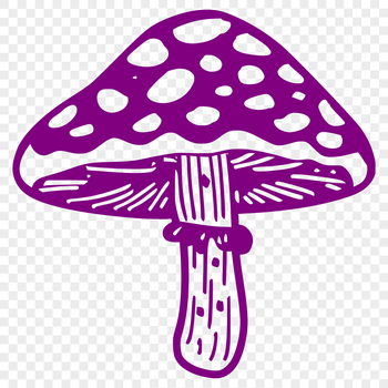 A high-quality vector illustration of a mushroom in various colors.