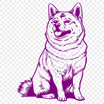 A small to medium-sized dog breed, depicted in a sitting position, with a full-body view.