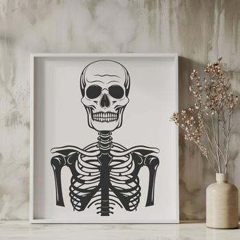 A detailed illustration of a skeleton, suitable for vector design and digital cutting tools like Cricut and Procreate.
