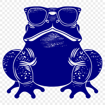 A cartoon toad wearing sunglasses, depicted in full body form as a vector graphic.
