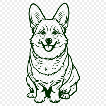 A close-up illustration of a Welsh Corgi sitting on its haunches.