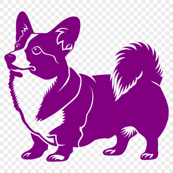 A detailed illustration of a standing Welsh Corgi from the front.