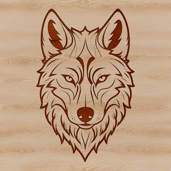 A detailed illustration of a wolf's head, created as a vector graphic for various uses.