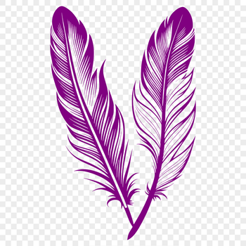 A high-resolution vector graphic of a feather design suitable for digital artwork and craft projects.