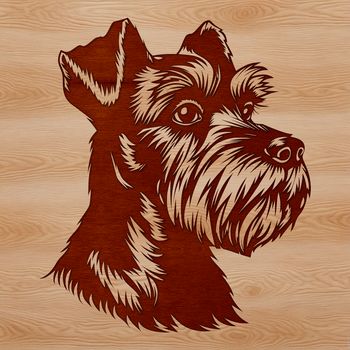 A high-quality vector image of a small-sized dog breed, the Miniature Schnauzer.