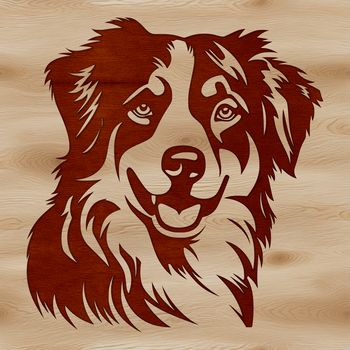 A portrait of a medium-sized Australian Shepherd dog with a fluffy coat and erect ears.