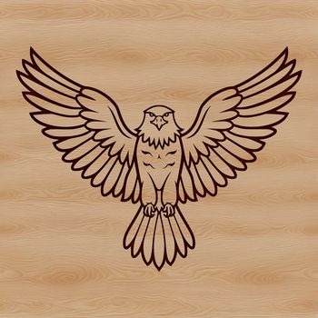 A detailed illustration of a majestic eagle in flight, suitable for various digital designs.