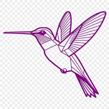 A colorful illustration of a hummingbird in flight, created as a vector graphic.