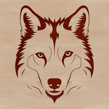 A detailed illustration of a wild wolf's head in vector format.