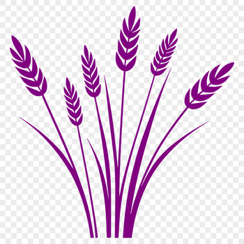 A realistic illustration of a stalk of wheat in vector format.