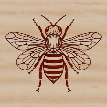 A detailed illustration of a honeybee in mid-flight, suitable for vector graphics and digital design.