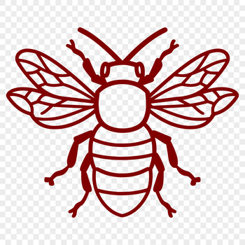 A simple line drawing of a bee in full body view.