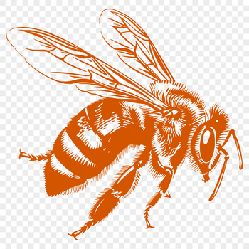 A detailed illustration of a bee in full body, showcasing its insect features and flying capabilities.