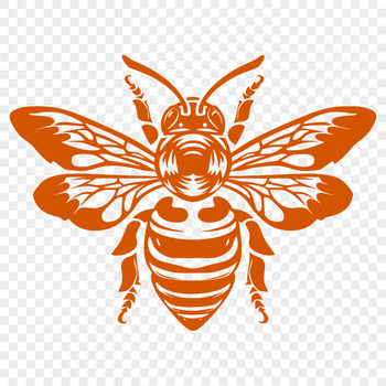 A detailed illustration of a bee from head to wing, suitable for gardening designs and craft projects.