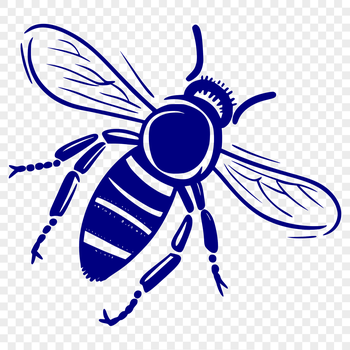 A detailed illustration of a bee in full body view, suitable for vector graphics and various design applications.