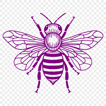 An illustration of a full-body bee in vector format, suitable for various uses such as gardening projects or digital designs.