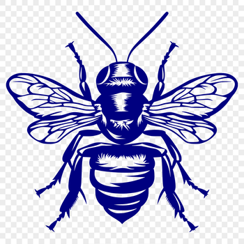 A detailed illustration of a bee in full body view, ideal for gardening and crafting projects.