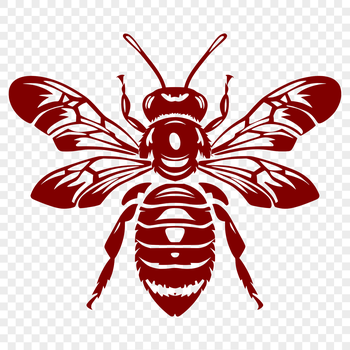 A full-body illustration of a bee, featuring detailed anatomy.