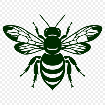 A detailed illustration of a bee in full body, suitable for vector design and crafting.