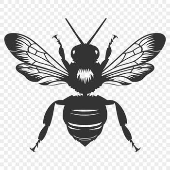 An illustration of a full-body bee with intricate details, suitable for gardening and crafts projects.