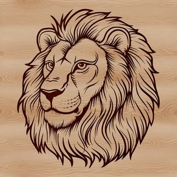 A illustration of a lion's head, a wild animal commonly found in savannas and grasslands.