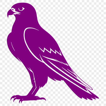 A sleek falcon in flight, depicted as a vector graphic.