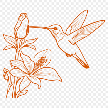 A vibrant illustration of a hummingbird in mid-flight, surrounded by colorful floral elements.