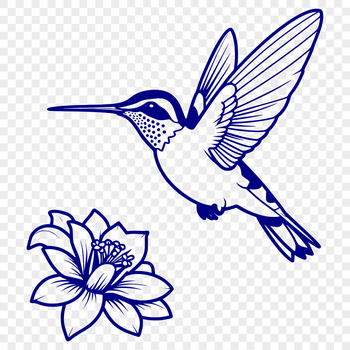 A colorful hummingbird in flight over a floral background.
