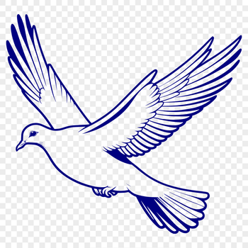 A digital representation of a dove, created as a vector graphic for use in various design projects.