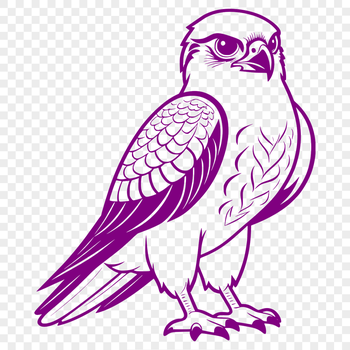 A detailed illustration of a bird in mid-flight, specifically a falcon with sleek lines and sharp features.
