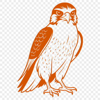A detailed vector illustration of a majestic falcon in flight.