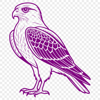 A detailed illustration of a falcon in flight, suitable for vector art and commercial use.