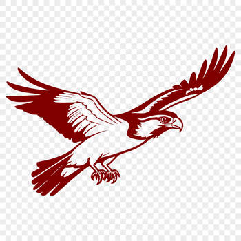 A vector illustration of a falcon in flight, designed for commercial use.