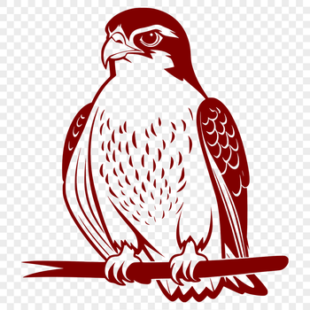 A detailed silhouette of a falcon in flight, designed as a vector graphic.