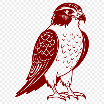 Illustration of a falcon bird in vector format for commercial or personal use.