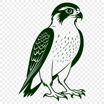 A detailed vector illustration of a falcon in flight, suitable for various creative projects.