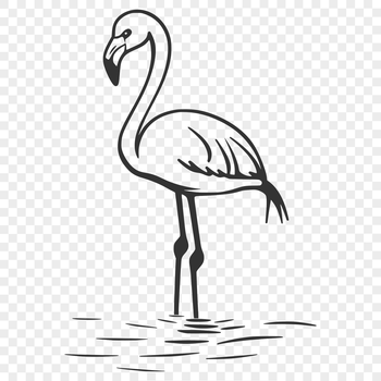 A single flamingo bird in full body pose with vibrant plumage.