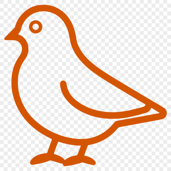 Simple line drawing of a cute bird in full body view.
