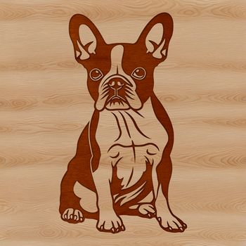 A sitting Boston Terrier breed dog in a simple vector design.