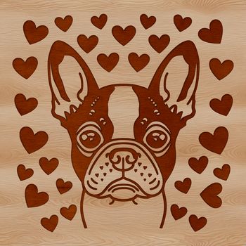 Boston Terrier breed dog illustration with love hearts on its head.