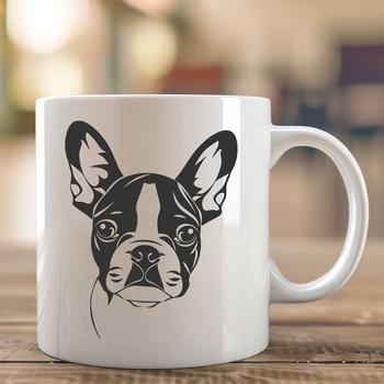 A close-up illustration of a Boston Terrier's head and facial features.