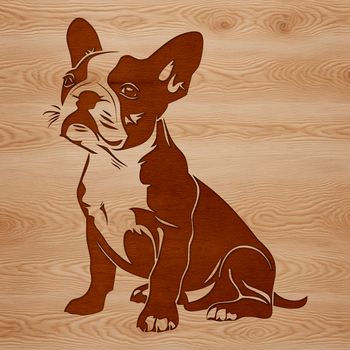A sitting Boston Terrier dog breed with a vector design suitable for various uses.