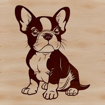 Vector graphic representation of a cute Boston Terrier animal sitting on its haunches.