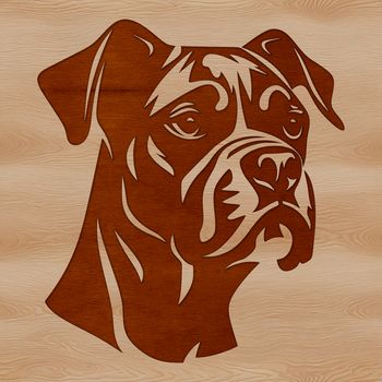 A realistic illustration of a Boxer dog's head in vector format.