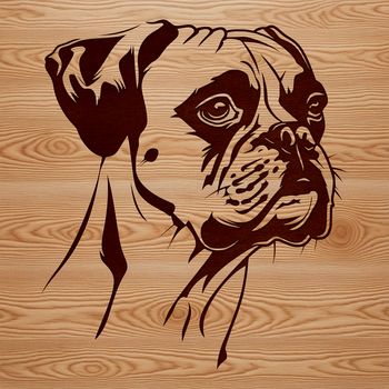 A detailed illustration of a dog's head, specifically a Boxer breed, suitable for use in various design projects.