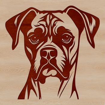 A dog breed illustration, featuring the head of a Boxer in vector format.