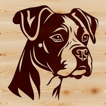 A illustration of a Boxer dog's head, suitable for vector design projects.